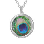 Peacock Feather Necklace