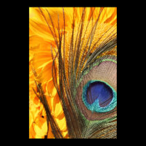 Peacock feather on sunflower posters