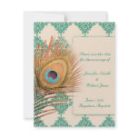 Peacock Feather on Teal Moroccan Tile Announcement