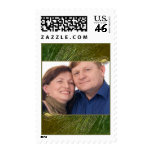 Peacock feather ornate photo anniversary postage