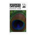 Peacock Feather postage by Sky_Blue_Photography Peacock Feather postage