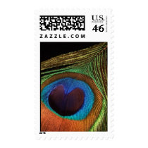 Peacock Feather postage by SweetRascal Peacock Feather postage