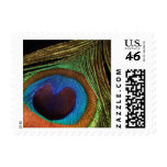Peacock Feather Stamps