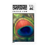 Peacock Feather Postage
