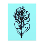Peacock Feather Postcard