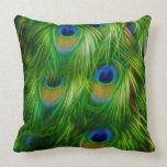 Peacock Feather Print Pillow