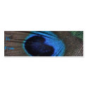 Peacock Feather Profile Card business cards by sunsett76 Peacock Feather Profile Card business cards