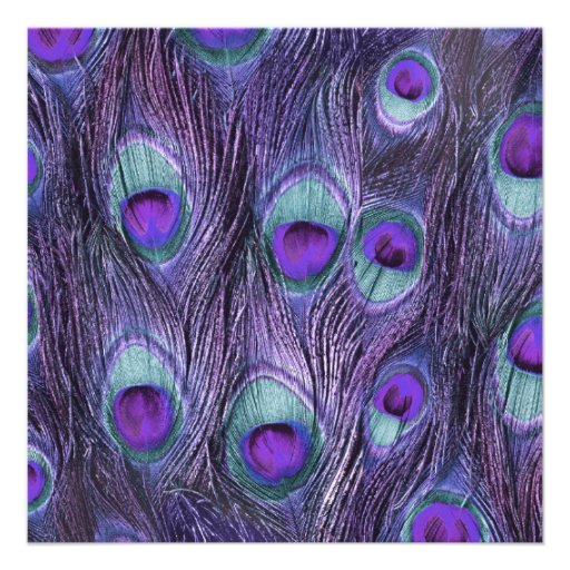 Peacock Feather Purple Drama Wedding Invitation