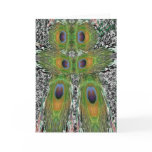 Peacock Feather Show Greeting Cards