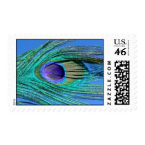 Peacock Feather Stamp by socallaghan Peacock Feather Stamp