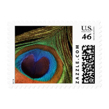 Peacock Feather Stamps
