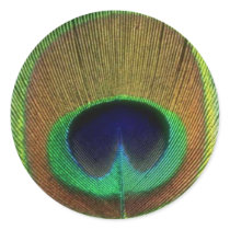Peacock Feather Sticker