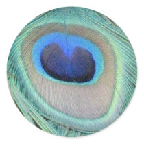 Peacock Feather Sticker by naturegirl7 Peacock Feather Sticker