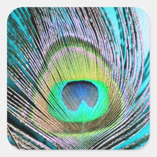 Peacock Feather Sticker | Zazzle