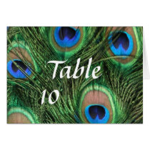 Peacock Feather Table Numbers cards