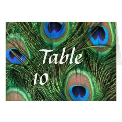 Use these unique cards to number your tables at your peacock themed wedding