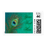 Peacock feather text  template postage