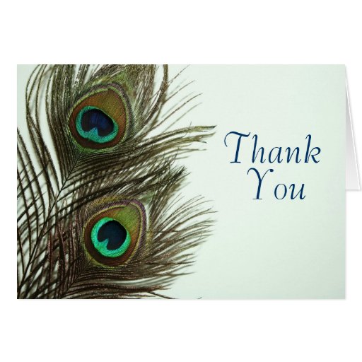 Peacock Feather Thank You Card Zazzle