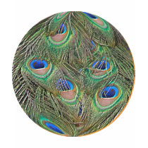 peacock feather t-shirts by chloeallega peacock feather t-shirts