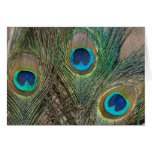 Peacock Feather Wedding Card with Rocks
