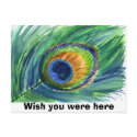 peacock feather, Wish you were here postcards
