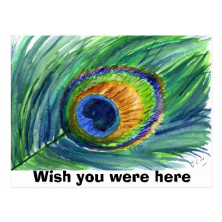 wish you were here postcard template peacock feather wish you were here postcards wish you were here postcard template peacock feather wish you were here postcards