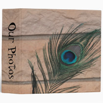 Peacock Feather with Bricks binders