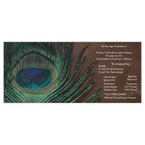 Peacock Feather with Brown and Gold Full Color Rack Card