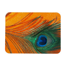 Peacock feather with Orange Glitter Still Life Flexible Magnets
