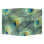 PEACOCK FEATHERS 2" Ring Binder