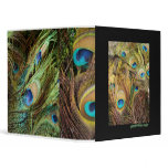Peacock Feathers Avery Binder