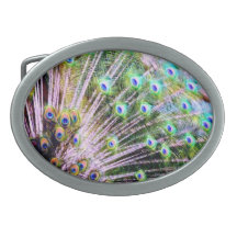 Peacock Feathers Belt Buckles