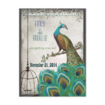 Peacock Feathers Birdcage Save the Date postcards