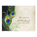 Peacock Feathers Black Damask RSVP Response Card Postcards