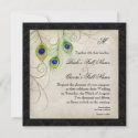 Peacock Feathers Black Damask Wedding Stationery zazzle_invitation