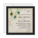Peacock Feathers Black Damask Wedding Stationery Announcements