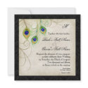 Peacock Feathers Black Damask Wedding Stationery invitation