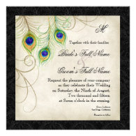 Peacock Feathers Black Damask Wedding Stationery Announcements