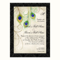 Peacock Feathers Black Damask Wedding Stationery invitations
