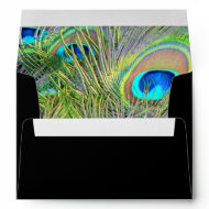 Peacock Feathers Black Envelope envelope