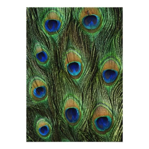 Peacock Feathers - Bridal Shower Custom Announcements