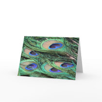 Peacock Feathers Cards