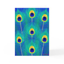 Peacock Feathers cards