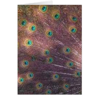peacock feathers card