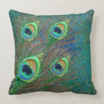 Peacock feathers colorful pattern pillows