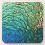 Peacock Feathers Cork Coaster Set