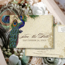 Peacock & Feathers Formal Save the Date Aqua Blue Post Cards