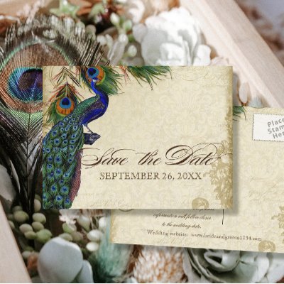 Peacock & Feathers Formal Save the Date Aqua Blue Post Cards