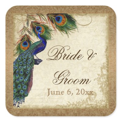 Peacock Feathers Formal Wedding Favor Seals Tags Square Stickers by 