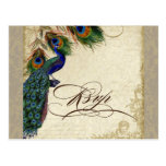 Peacock & Feathers Formal Wedding RSVP Response Post Card